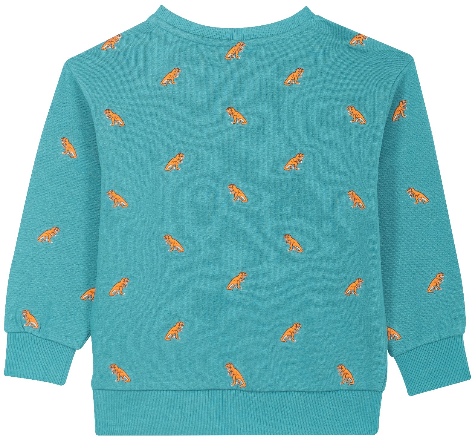 Someone Boy Sweatshirt T-Rex AOP petrol