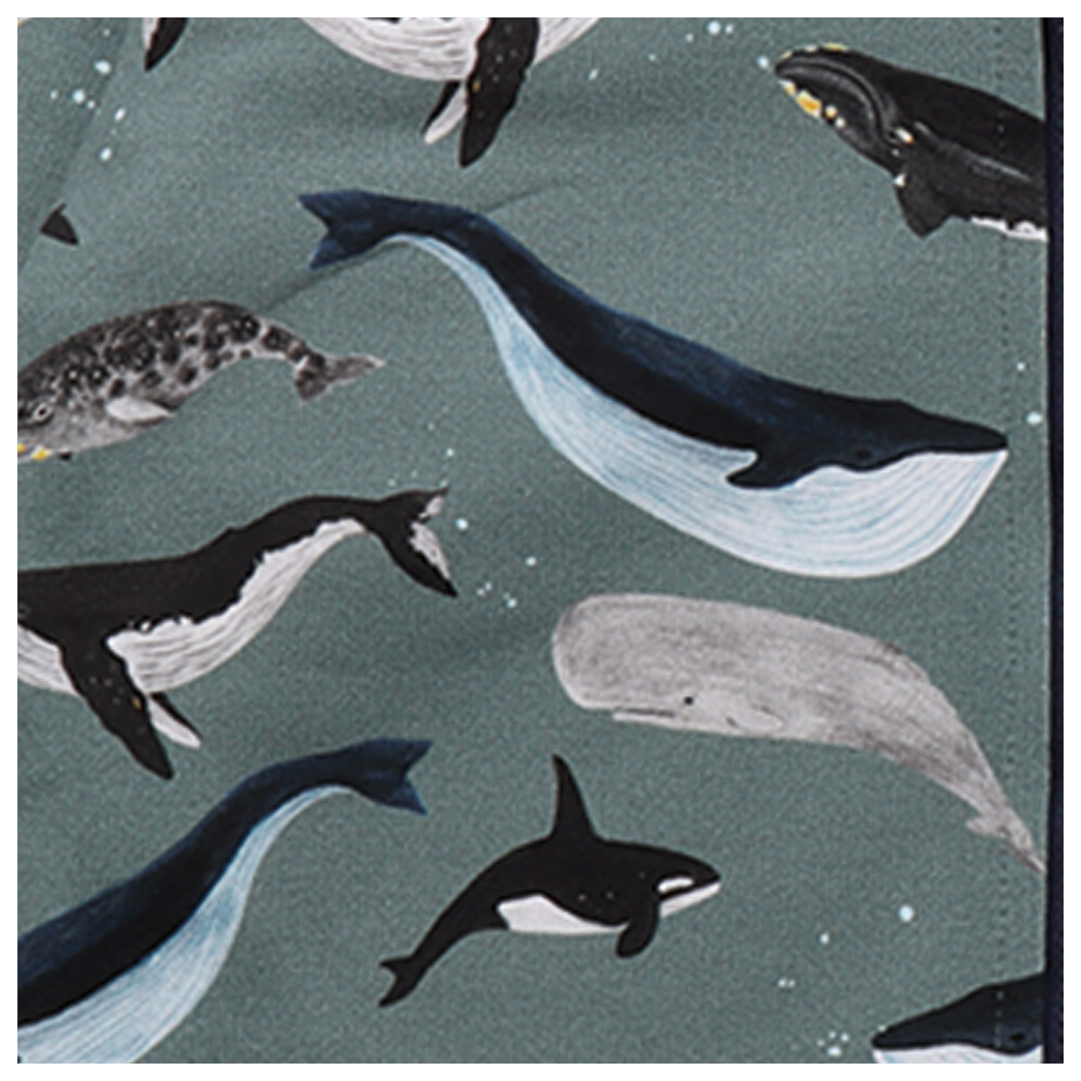 Walkiddy Sweatjacke The Great Whales